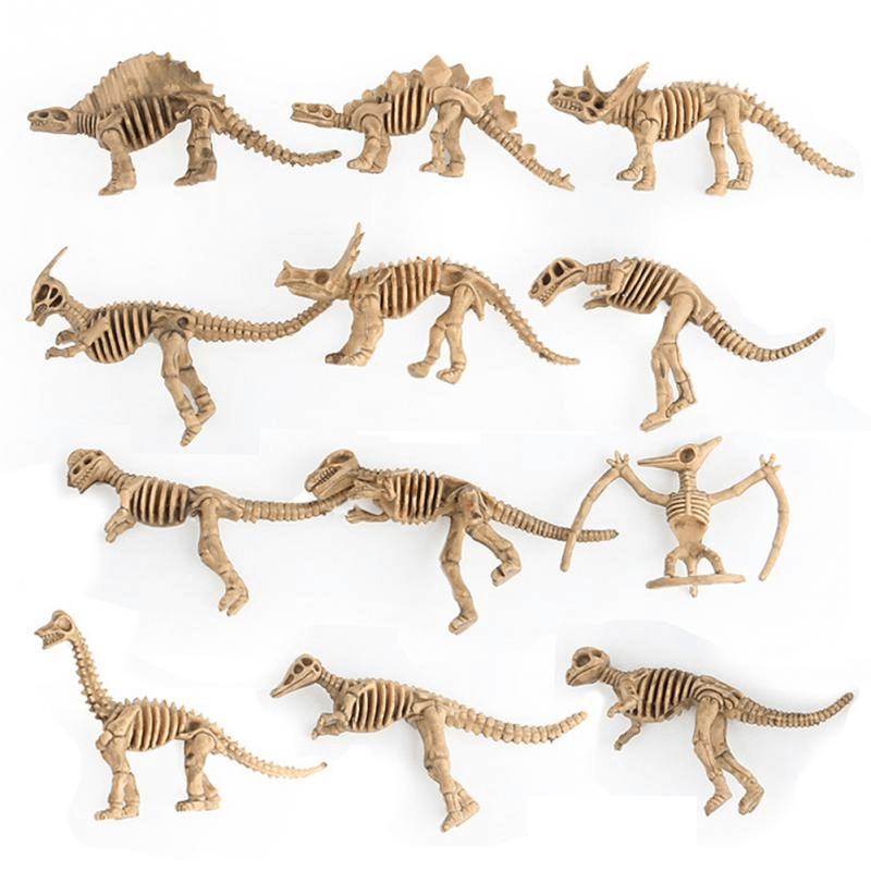 Set 12pcs Action Figure Esqueleto do Dinossauro  Paleontologia