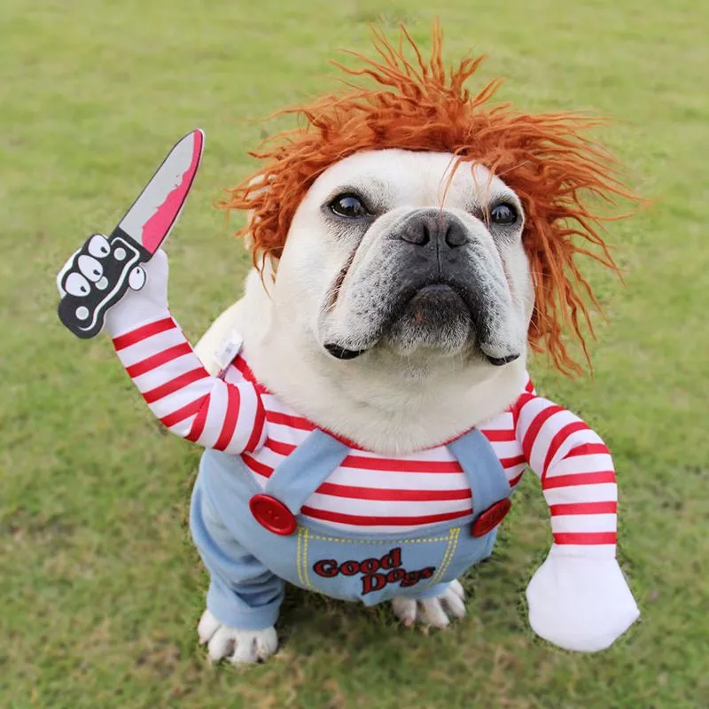 trajes do cao do dia das bruxas engracado roupas para animais de estimacao cao Halloween animal de estimação foto adereços pelúcia abóbora chapéus para gatos halloween gato acessórios engraçado abóbora pet cão chapéus traje do animal de estimação dia das bruxas