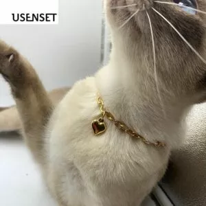 usenset charme colar 6mm cor de ouro colar coracao corrente para animal estimacao Divulgado novo pôster para As Marvels especial para o Dia Internacional dos Gatos.