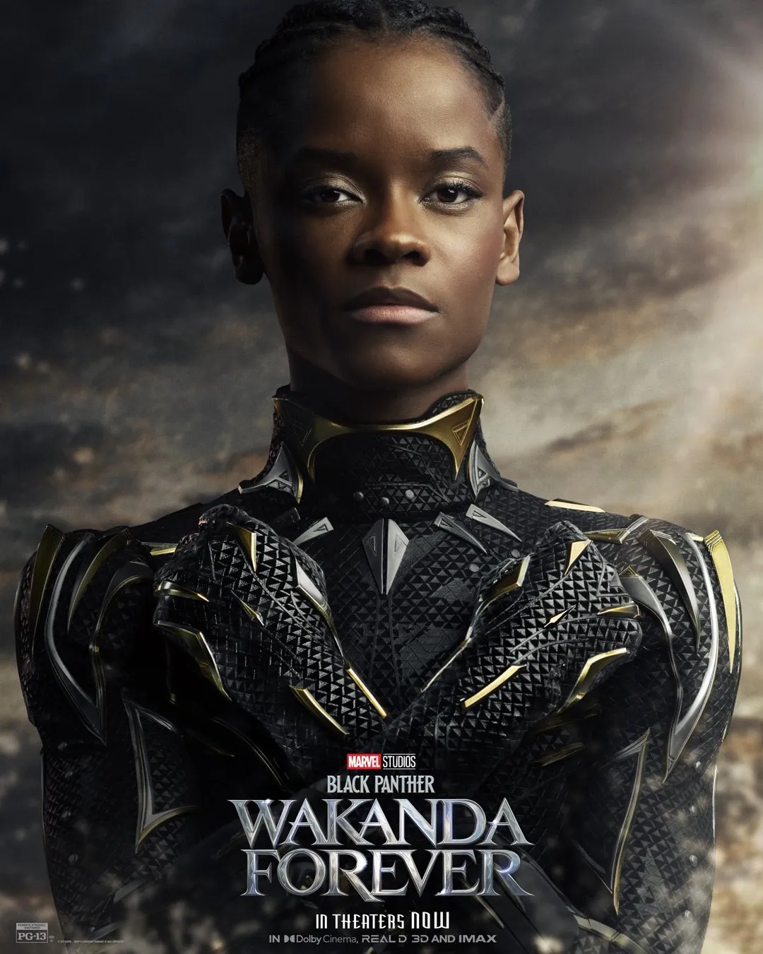 fdde76f5 d593 4a39 b624 72dba5a70000 78660 000007bd623db82e file Divulgado novo pôster para Pantera Negra Wakanda Forever.