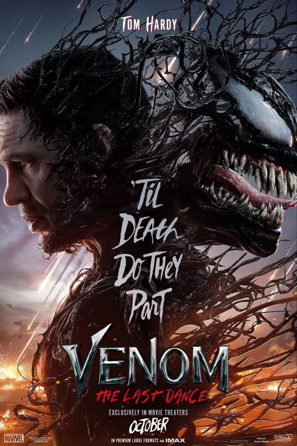 img 0099 1 Divulgado 1º pôster para Venom 3.